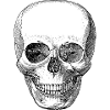 Cartoon-Schädel