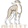 Whippet 45
