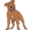 Staffordshire Bull Terrier