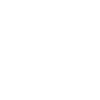 Tribal Lion