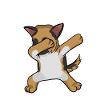 German shepherd dabbing german sheperd