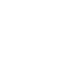Snow Fox Line Art