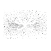 The Universe