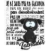 labrador Noir - noirFR