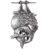 Vampire Owl - Dracula Owl