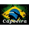 capoeira wald brasilien