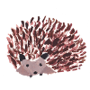 Hedgehog