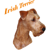 Irish Terrier