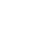 Dinosaur Skeleton - Triceratops Skull