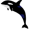 jumping orca
