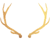 Gold deer - deer antler