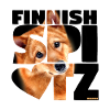 NASSU Finnish Spitz 02