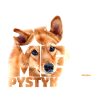 NASSU SPK 00