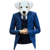Dog in a suit 001