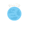 PLUTO NEVER FORGET 1930-2006