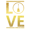 love calling profi king meister gitarre guitar aco
