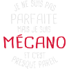Pas parfaite mais mécano