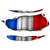France flag torn 017