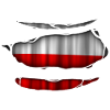 Poland flag torn 017