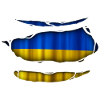 Ukraine Flag Torn 017