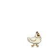 Chicken Huhn
