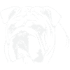 Bold Bulldog Line Art Design