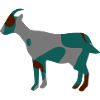 IRAQ العراق GOAT ماعز - CAMO / CAMOUFLAGE