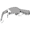 AntEater