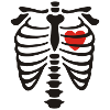 xray_heart_vector