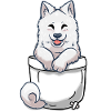 Chiot Samoyed de poche