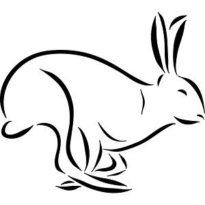 laufender Hase Feldhase Langohr Löffel Zeichnung