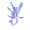 Vogelspinne