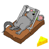 Mousetrap Mouse Mousetrap Mouse