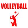 Volleyball was sonst