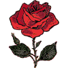rose
