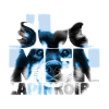 NASSU Lappari 020
