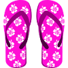 A pair of flip-flops