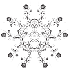 Epanouissement floral n°4
