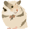 Riki le hamster