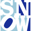Snow Popart 2C