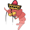 Mexican shrimp