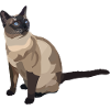 Cat Siam