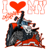 J'aime mon STEYR