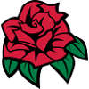 6254398 135433816 Rose