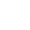 White Fox no 2