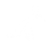 White Fox no 1