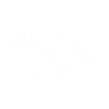 White Fox no 4