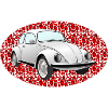 ladybug