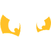 Two shining eyes