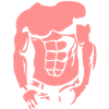 muscle2 Körper